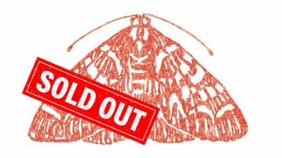 The Moth Sold Out