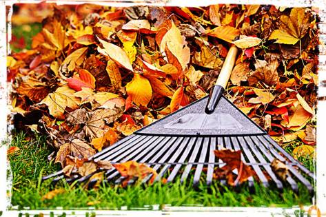 Fall_Cleanup_Billerica_MA.jpg