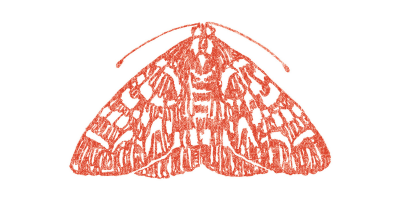 /images/uploads/The_Moth_Logo.png